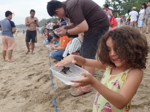 Liberar tortugas playa kuta 