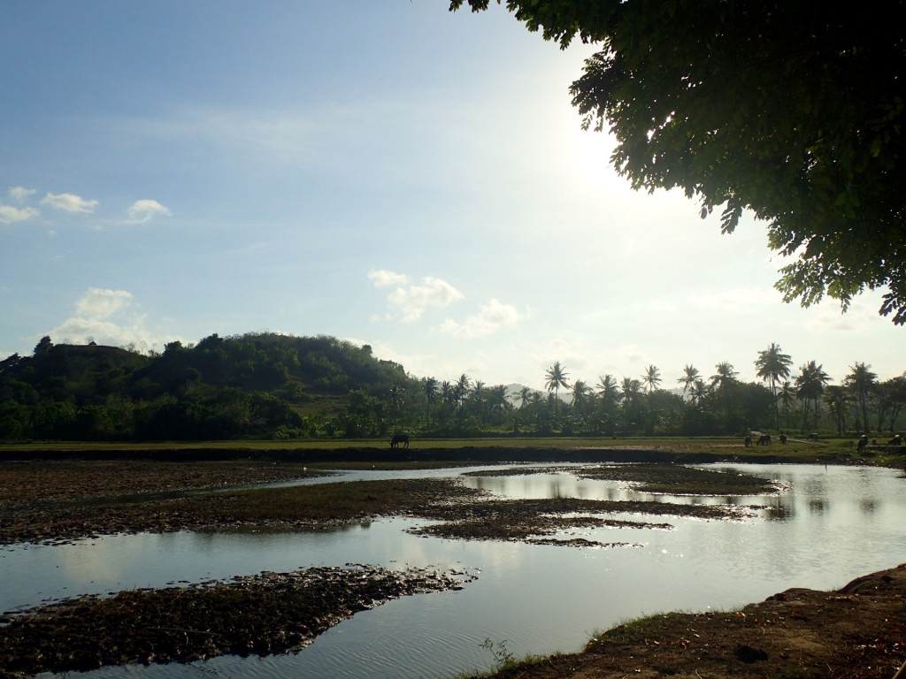 Kuta-lombok